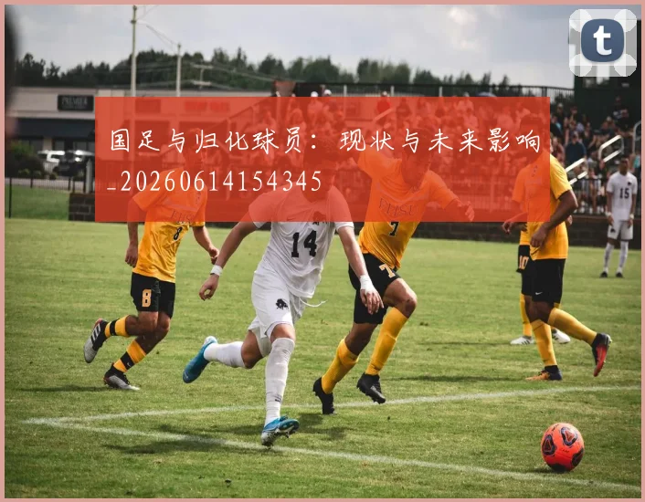 国足与归化球员：现状与未来影响_20260614154345