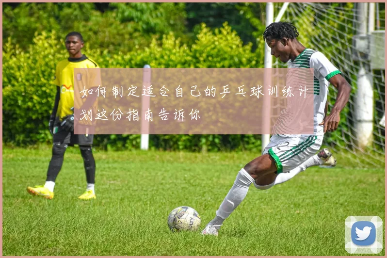 如何制定适合自己的乒乓球训练计划这份指南告诉你